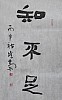 40101500437