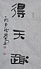 40101500509