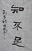 40101500539