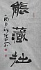 40101500678