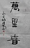 40101501356