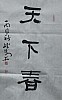 40101501672