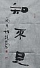 40101501731