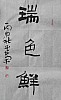 40101502101