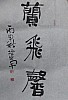 40101502566