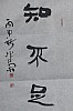 40101502611