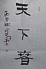 40101512256