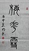 40101503531