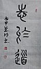 40101504316
