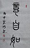 40101504330