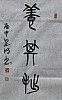 40101504728