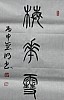40101504965