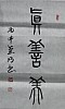 40101505019