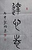 40101505393