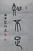 40101505853