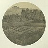 40101817077
