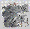 40101814217