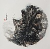 40101807086