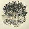 40101801123