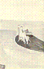 703008-13